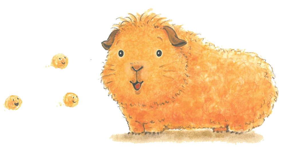 モルモットのちゃもとけだまーず Pr動画 放送実施店舗のお知らせ なかやみわのえほんのとびら モルモットのちゃもとけだまーず Pr動画 放送実施店舗のお知らせ なかやみわのえほんのとびら